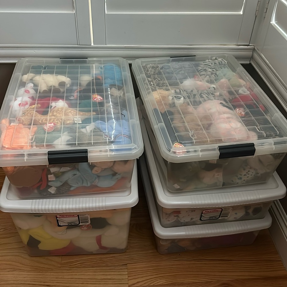Beanie babies 5 for 10 (random)